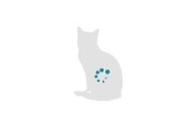 Katt med mage markerad ikon