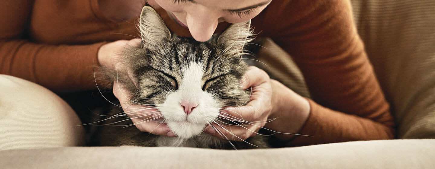 kvinna som lutar sig över katten för en kyss