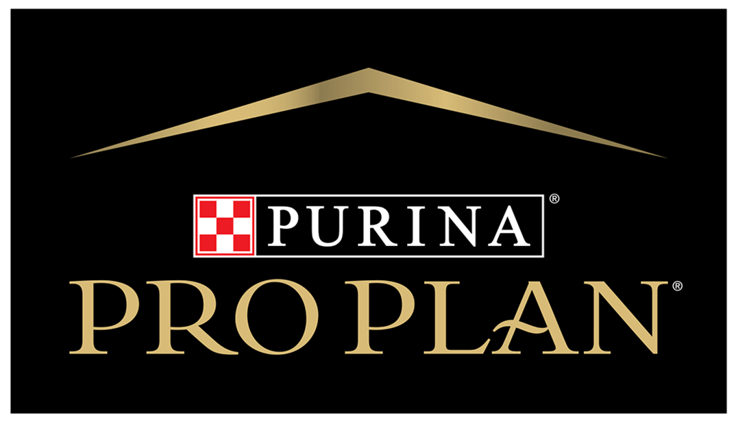 Pro plan