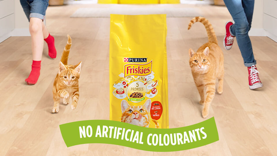 Friskies kattmat