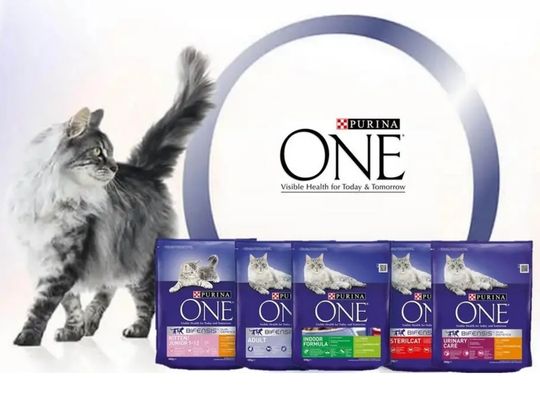 Purina One Katt