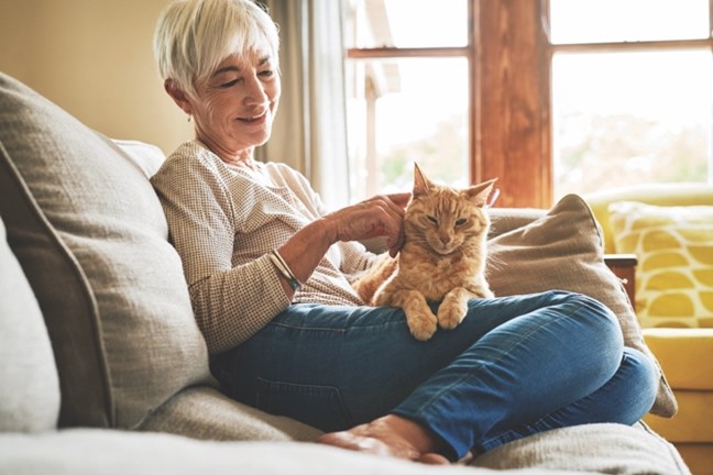 Varför är min katt sjuk och hur stödjer man deras tarmflora