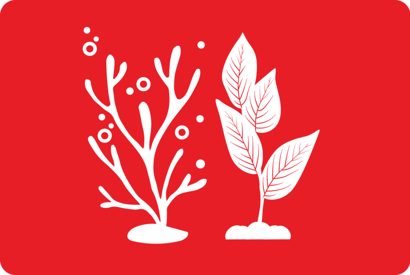 hållbarhetslogotyp med vita växter på röd bakgrund