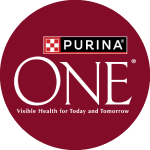 Purina ONE Dog