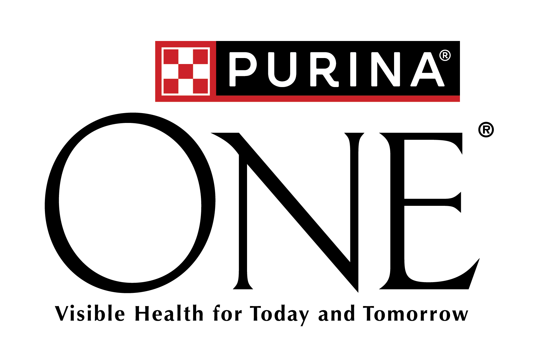 Purina ONE Dog