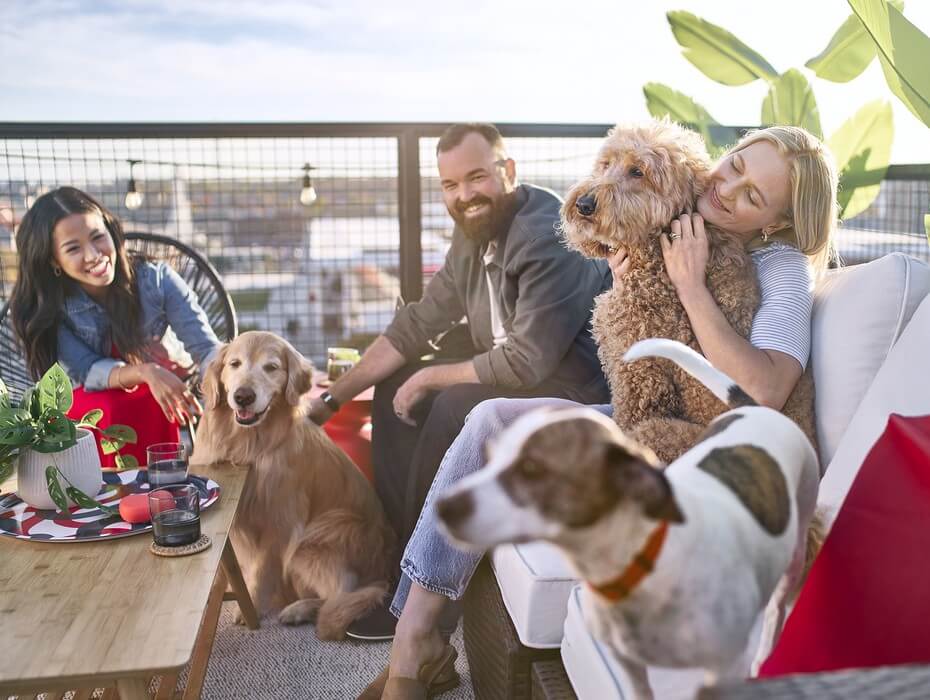 Grupp människor tillsammans med 3 hundar.