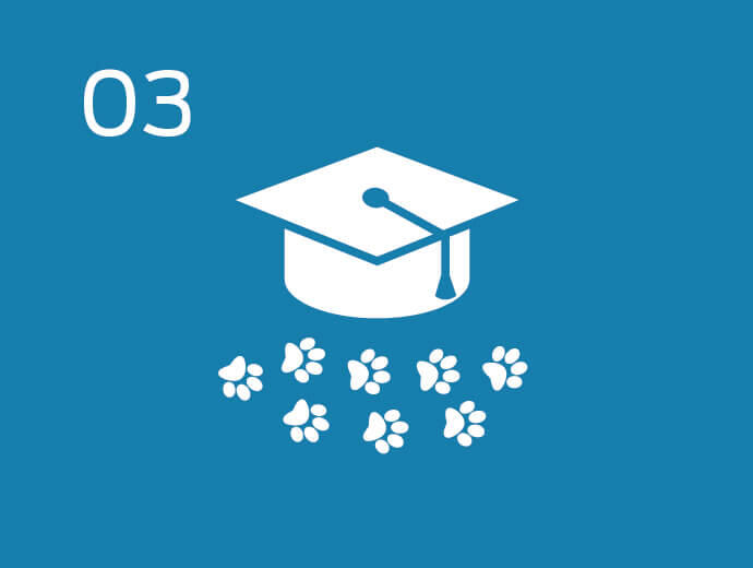 Program som främjar ansvarsfullt hund- och kattägande