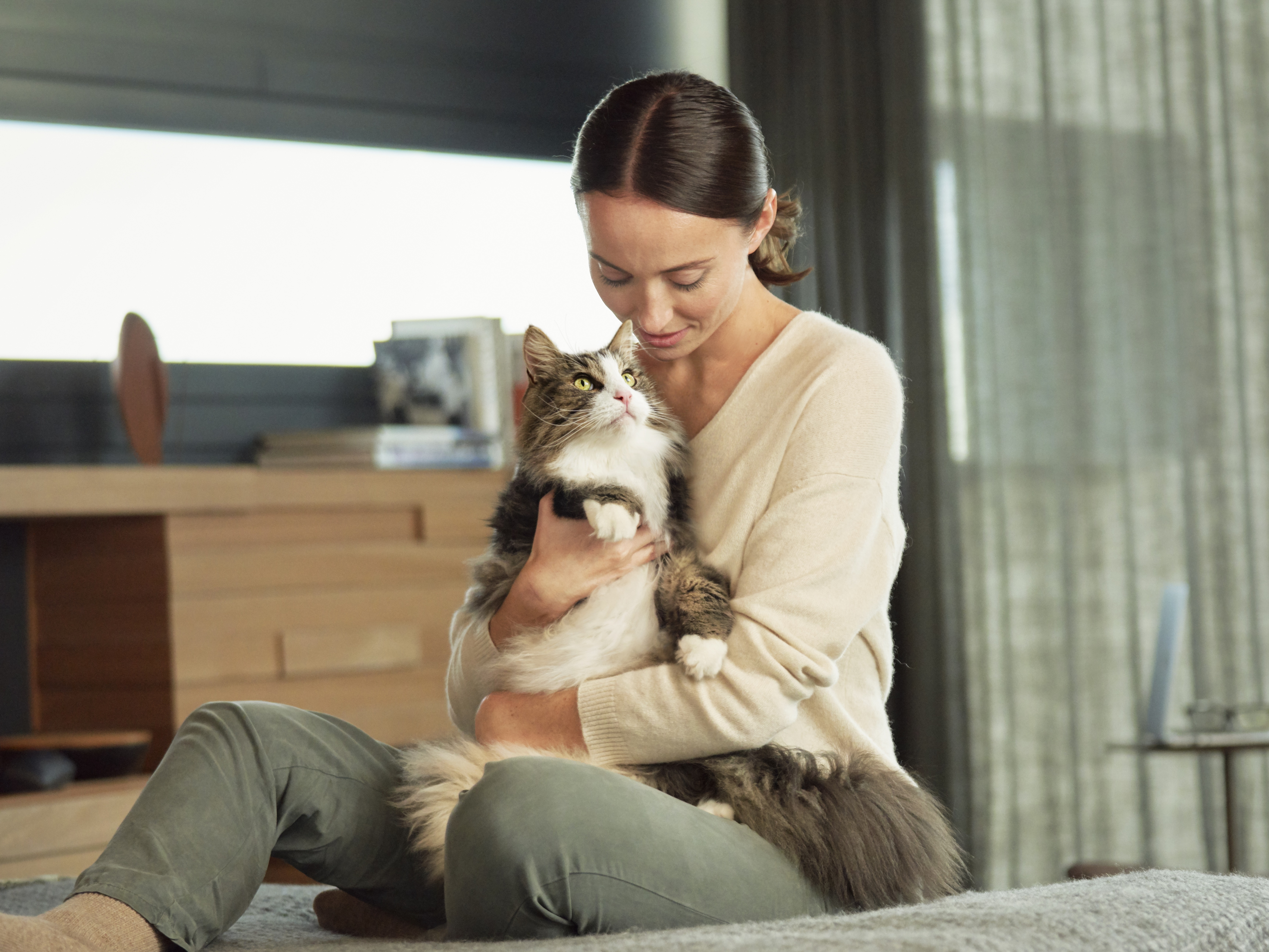 Kvinna som håller katten i sitt knä