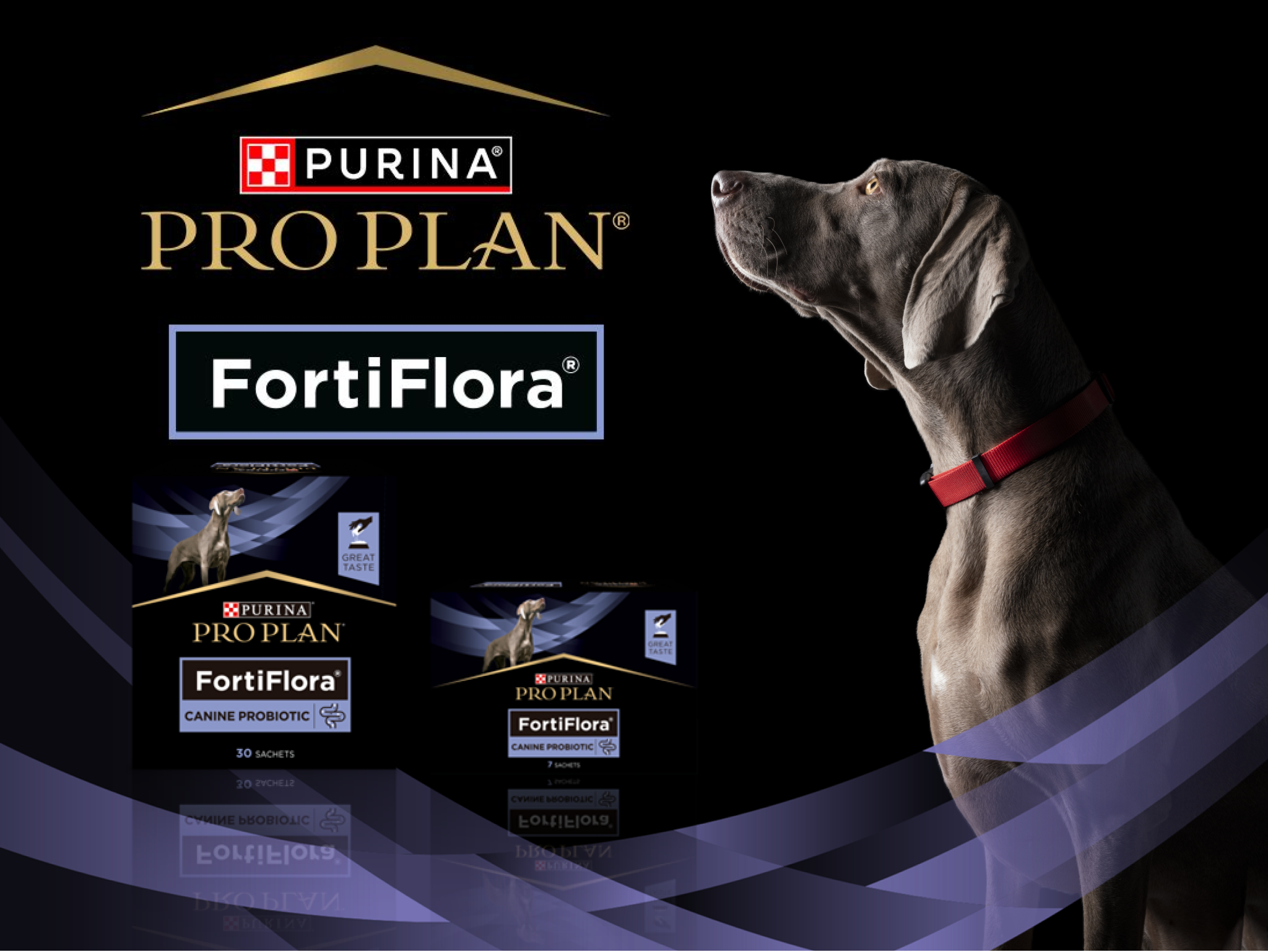 PRO PLAN Fortiflora hund med produkter