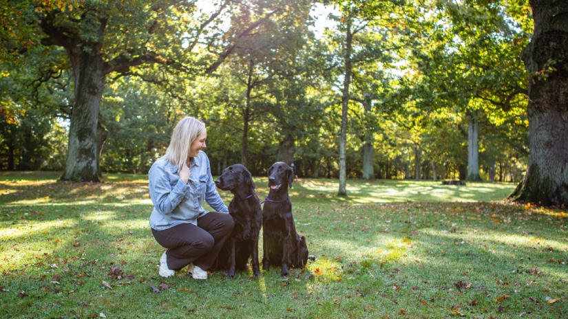 Klubbar hos dina favoritmärken