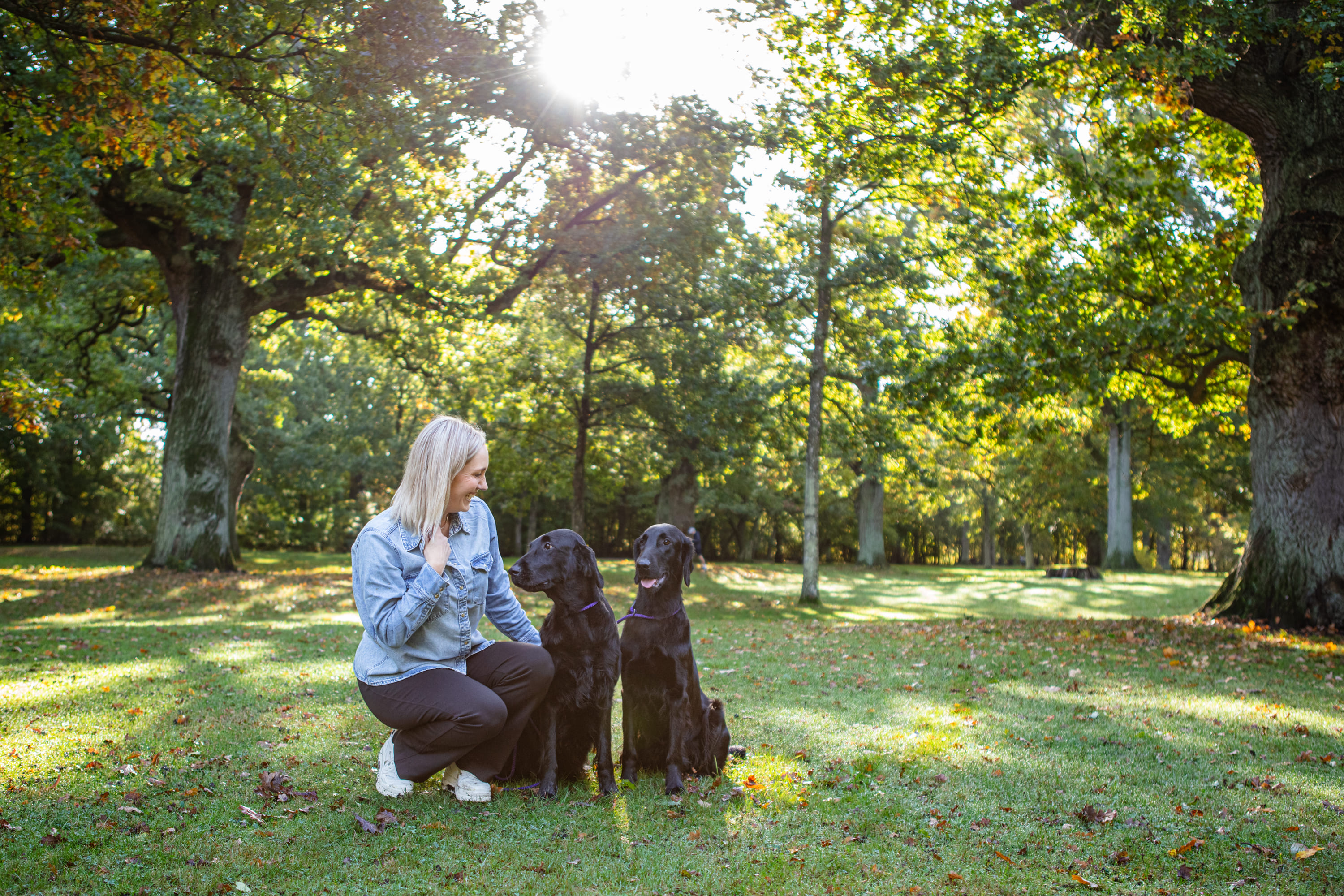 Pro Plan Uppfödarklubb