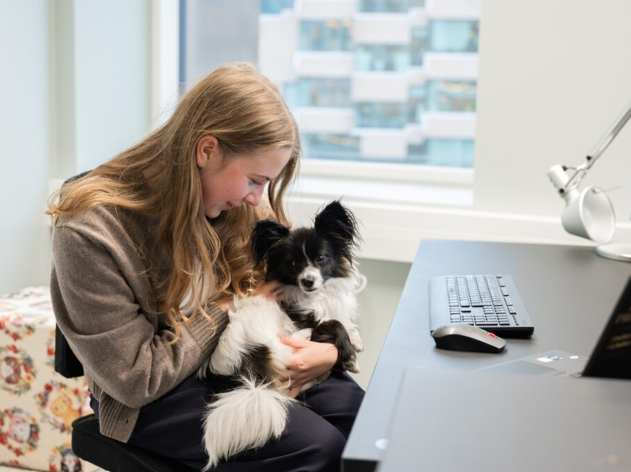 Ta med hund på kontor