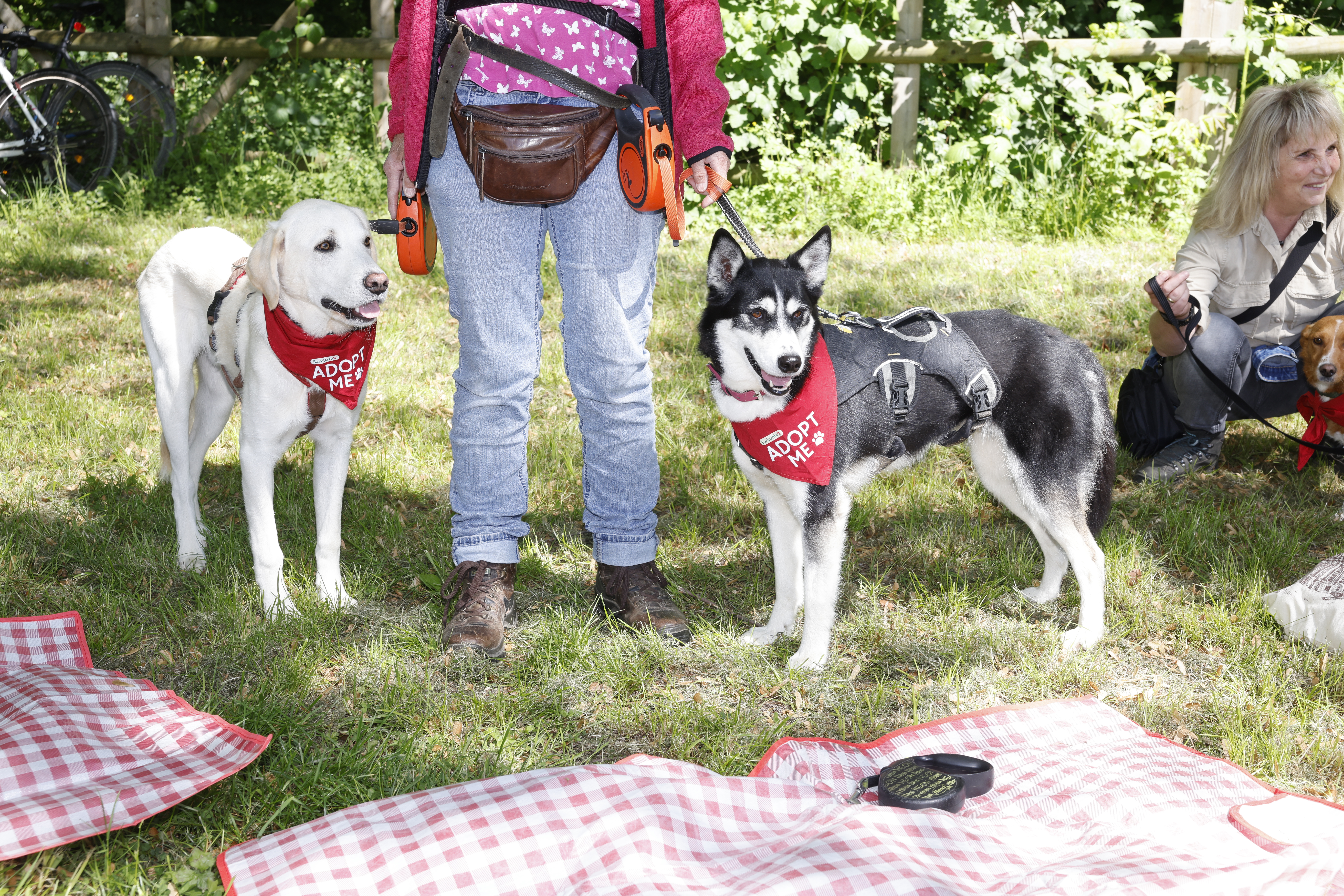 Bark Date