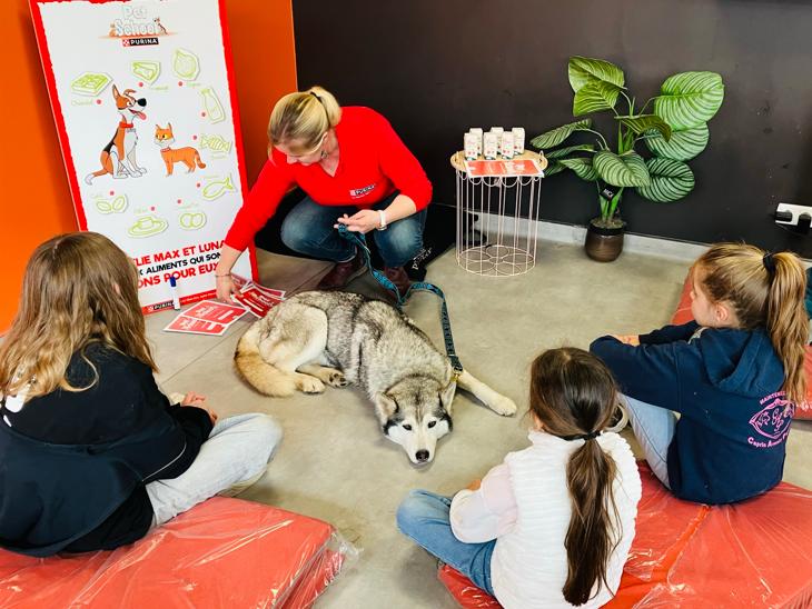 Peccram in store pet school workshops