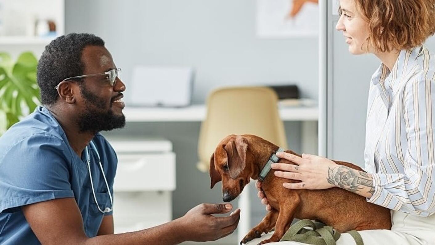 En veterinär knäböjer framför en klient som har en hund i knät.