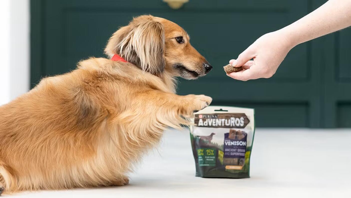 AdVENTuROS-hundgodis