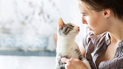 Ska du adoptera en kattunge?