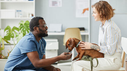  Valp i veterinärens väntrum med veterinär och ägare