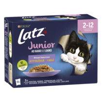 Latz® As Good As It Looks Junior Mixed Selection i géle