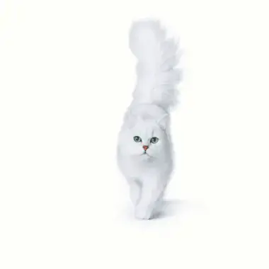 GOURMET® Perle Gravy Delight med Kyckling