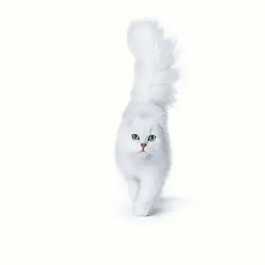 GOURMET® Mon Petit Meaty Variety med Anka, Kyckling & Kalkon