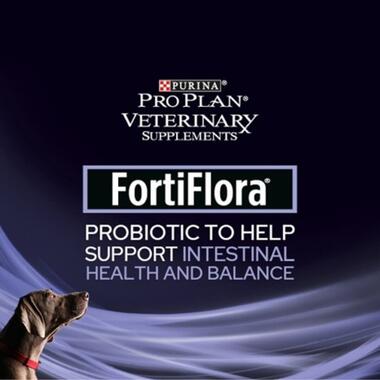 PRO PLAN® VETERINARY DIETS Canine FortiFlora® Probiotika