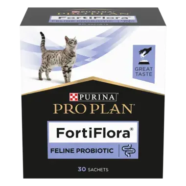 FortiFlora Katt front