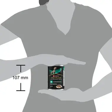 PRO PLAN® VETERINARY DIETS EN Gastrointestinal Mousse för hundar