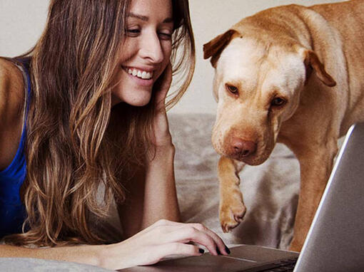 Kvinna och hund vid laptop