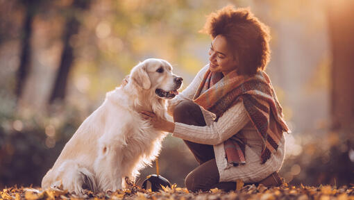 kvinnor med golden retriever i parken