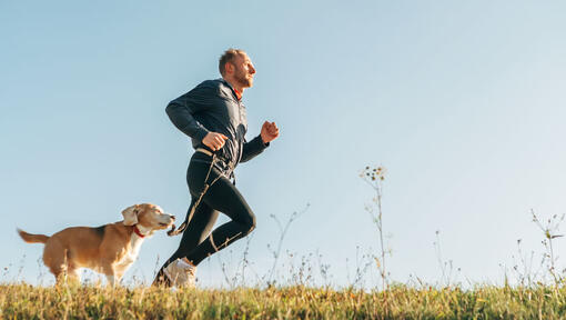 man och hund springer längdåkning