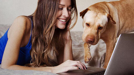 flicka tittar på laptop med sin hund
