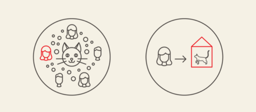 Managing cat allergens infographics