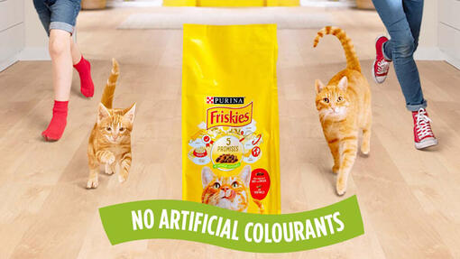 Friskies kattmat