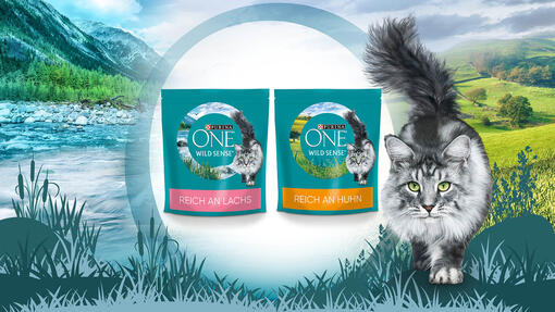 Purina ONE Wild Sense