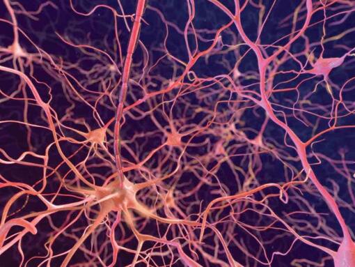 neuroner på en mörk bakgrund