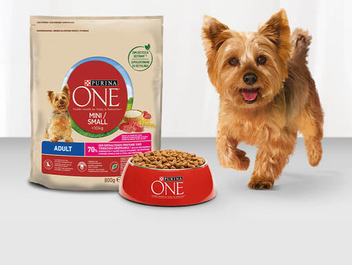 PURINA ONE MINI Torrfoder Mobil