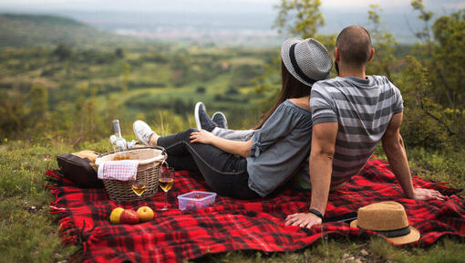 Ett par som har picknick