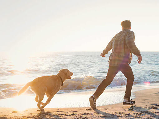 Man och hund springer på stranden