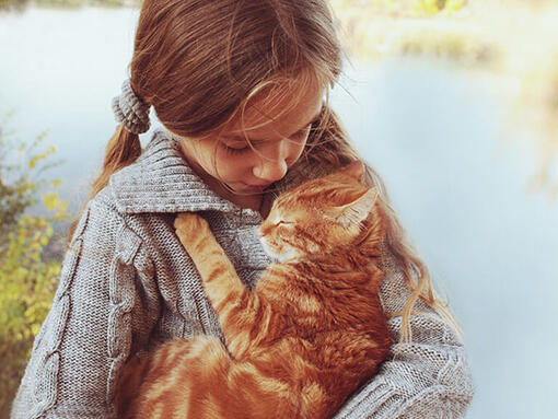 Barn som kramar ingefära katt