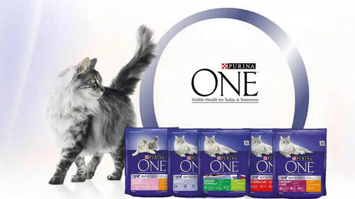 Purina One