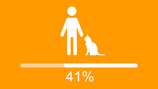 Person och katt infographic