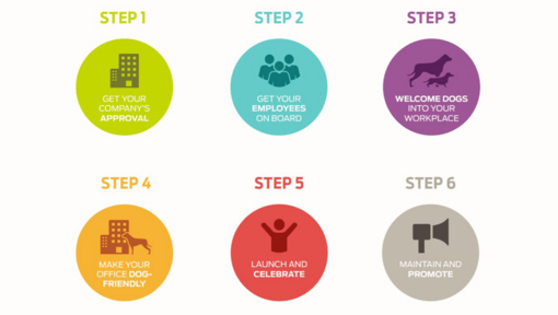 6 steg för Husdjur på jobbet Alliance infographic