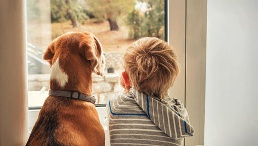 Barn tittar ut genom ett fönster med hund