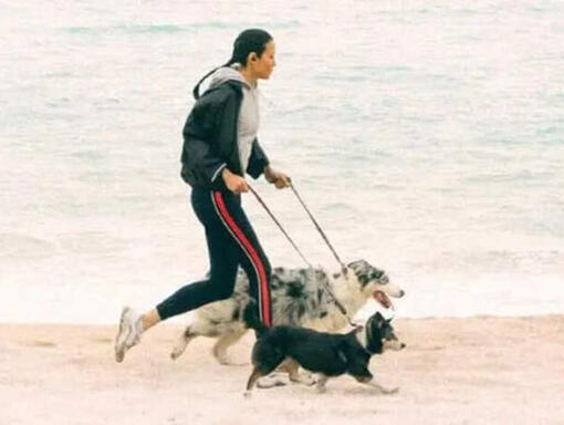 En man och en hund springer på stranden