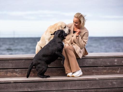 Kvinna med 2 hundar vid havet
