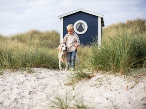 Man och hund springer på stranden