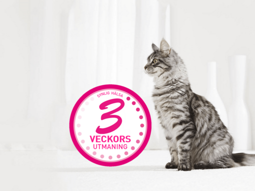 Purina One 3-veckorsutmaning