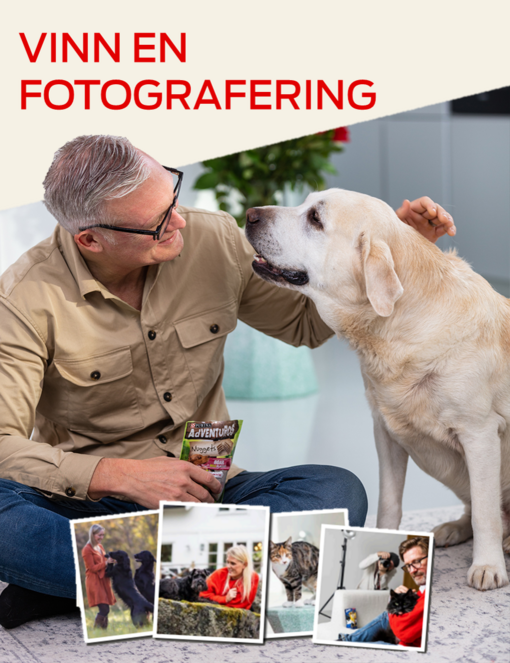 Vinn en fotografering med ditt husdjur!