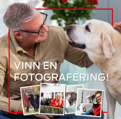 Vinn en fotografering med ditt husdjur!